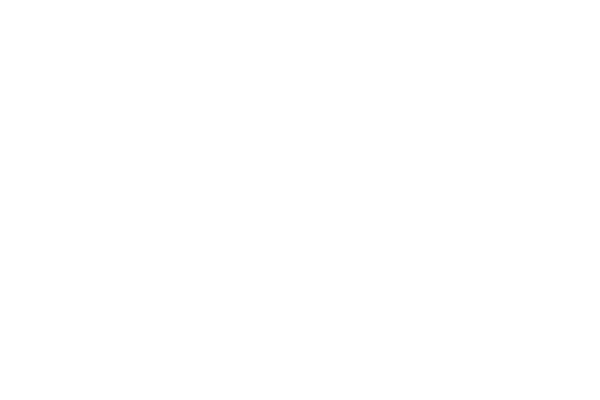 BBC News logo white